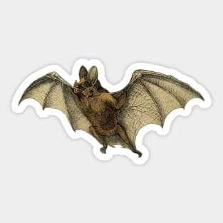 Flying Halloween Bat Sticker